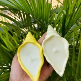 Shell Pot Candle