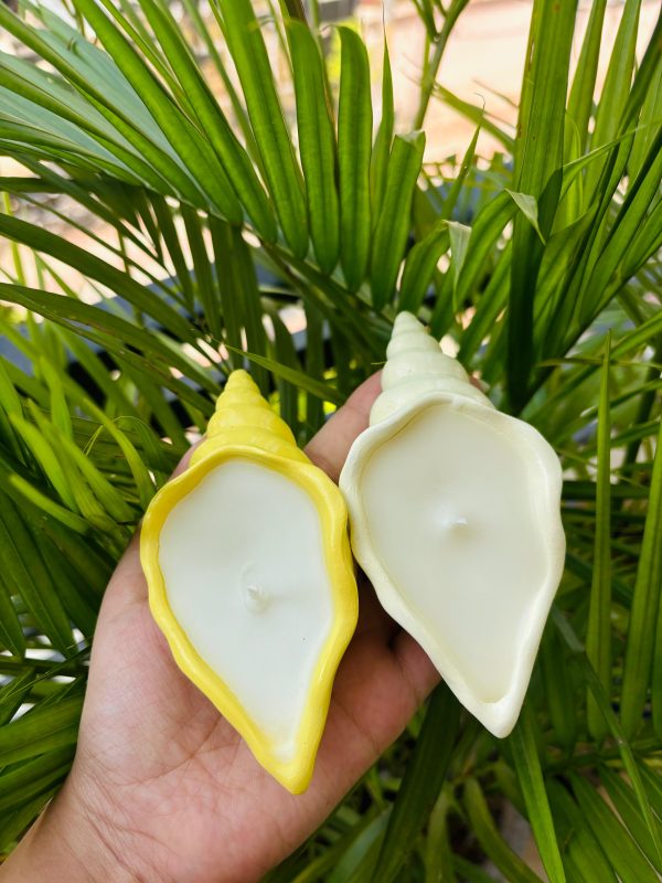 Shell Pot Candle