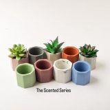 Planter Pot